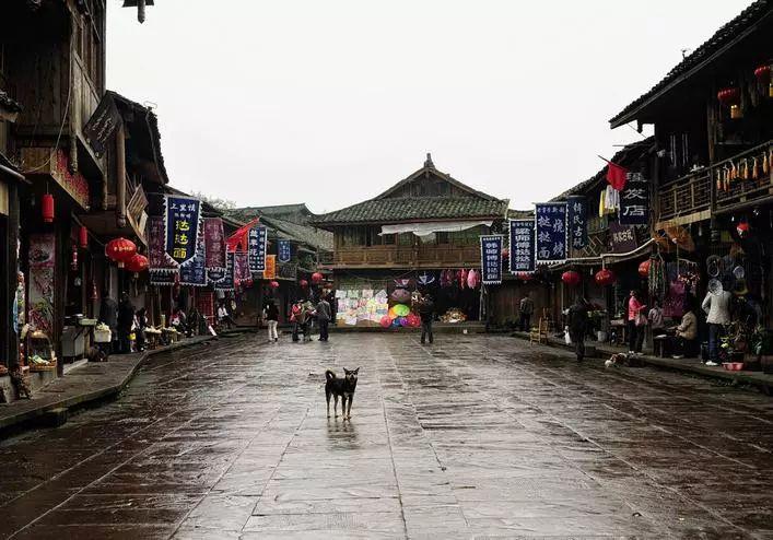 僵尸过人行道